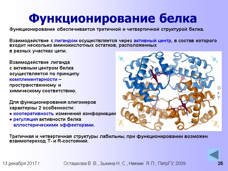 13 декабря 2017 г. Осташкова В. В., Зыкина Н. С., Нижник Я. П., ПетрГУ,